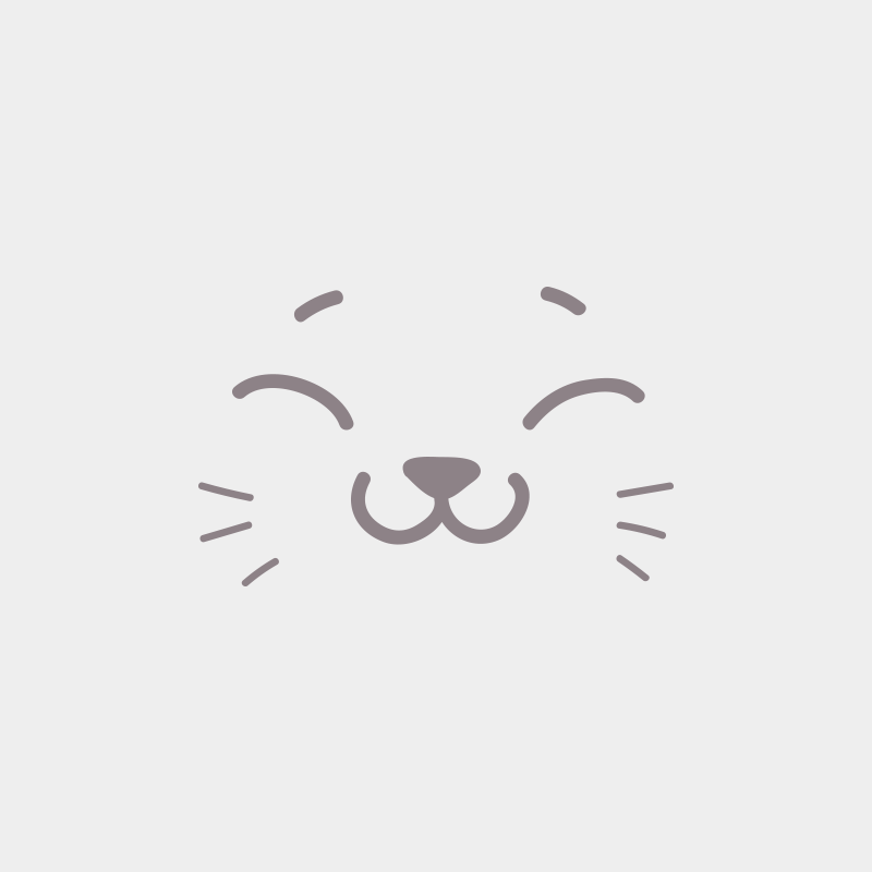 UMBER LOVE Du Domaine de Phyr Mâle British Shorthair